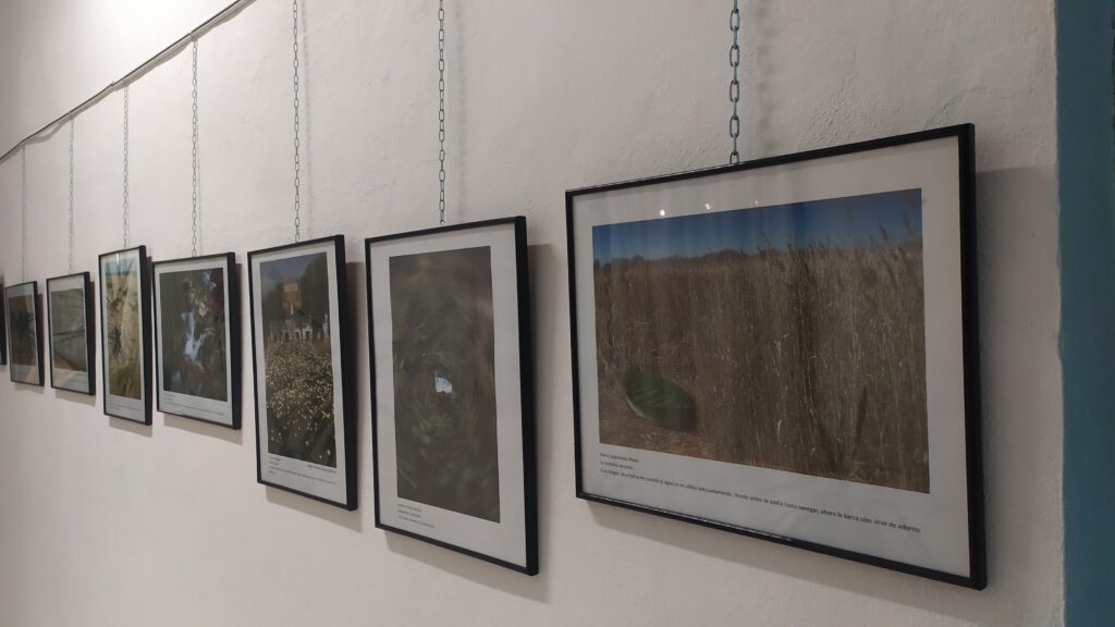 Exposición de Fotografias "Ecomiradas" desde el 15 de octubre.