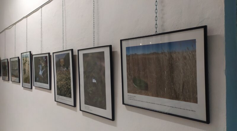 Exposición de Fotografias "Ecomiradas" desde el 15 de octubre.