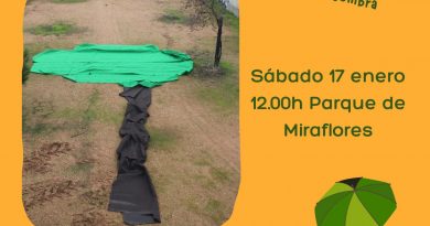 AQUÍ FALTA UN ÁRBOL EL SÁBADO 17 DE ENERO EN MIRAFLORES